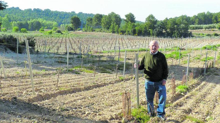Ernesto Pardo cultiva en ecológico desde hace tres décadas.