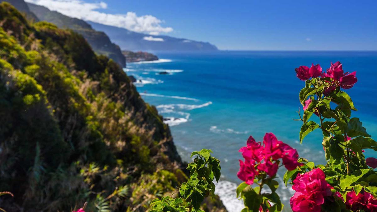 Madeira se viste de flores