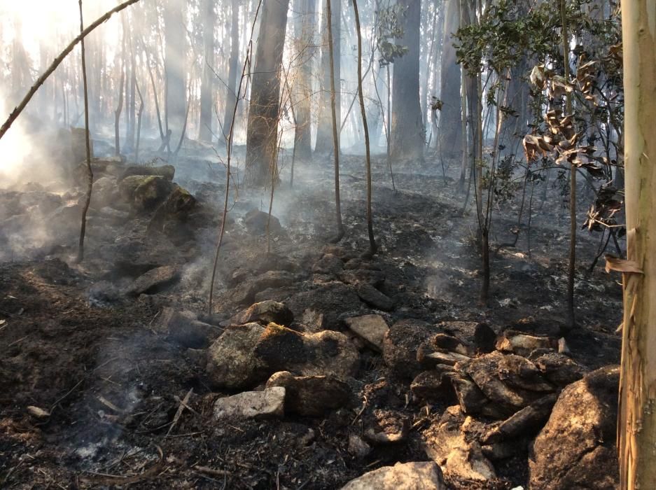 El fuego comenzó pasada la una de la madrugada en Cunchido, cerca de Santa Marta - Acudió una brigada de Medio Rural y Protección Civil, que estuvieron hasta las 06.00 horas