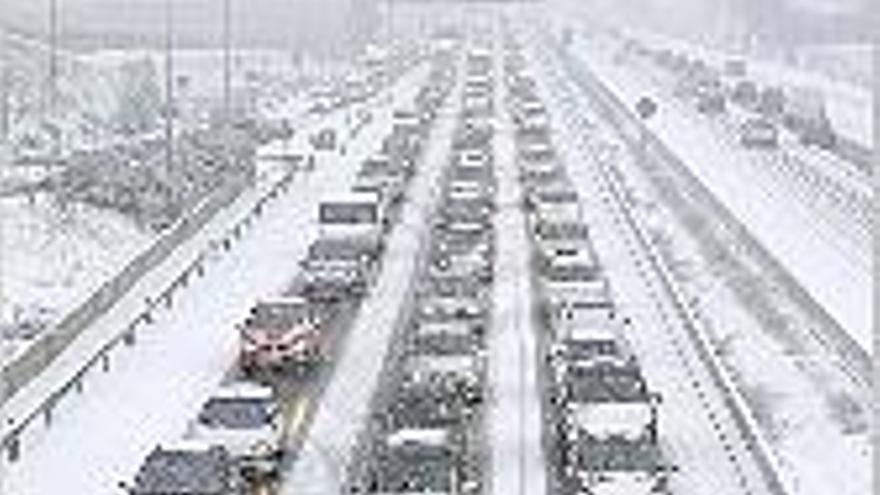 El temporal de neu, a més de causar el col·lapse de les vies d&#039;entrada a Madrid, va provocar nombroses imatges curioses en els carrers de la capital d&#039;Espanya.