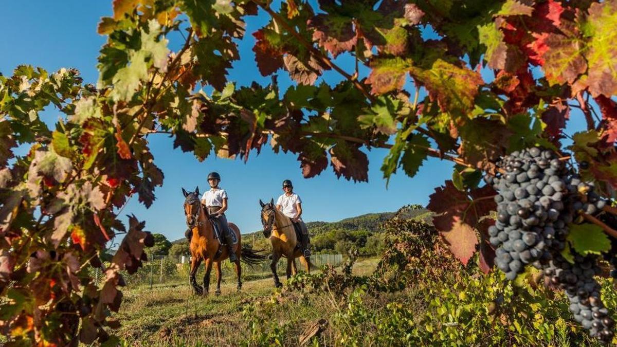 Naturaleza y enoturismo en Empordà