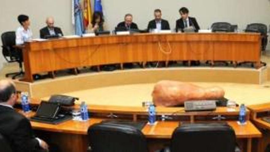 Uno de los momentos de la sesión celebrada ayer en el Parlamento gallego. / la opinión