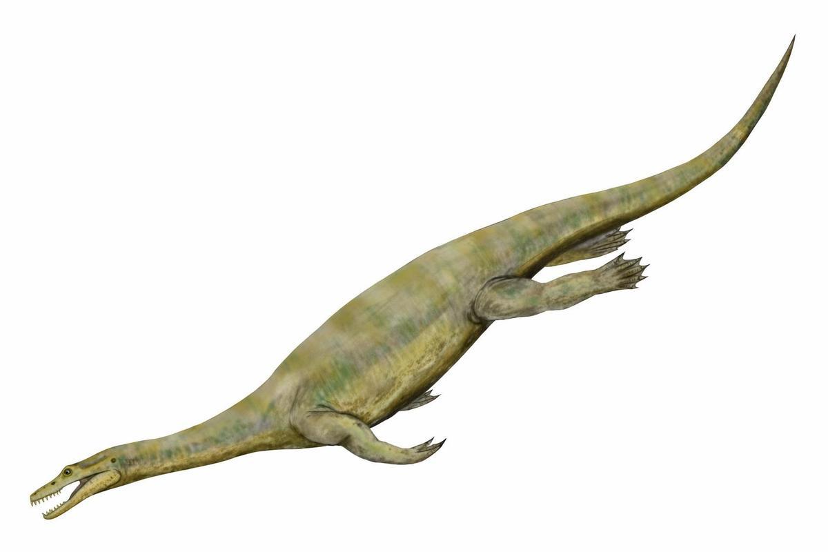 Una recreación de un nothosaurus.