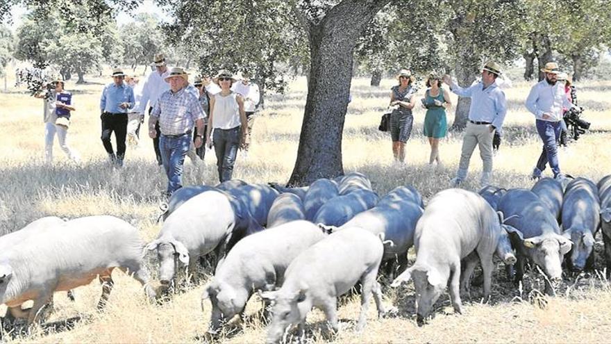 La ministra de Agricultura y un comisario de la UE visitan Covap