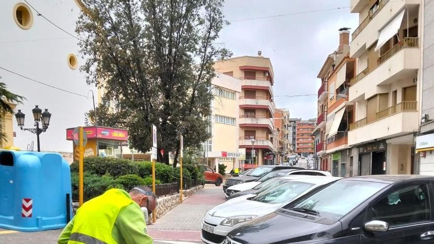 Plan de choque para el control de plagas en municipios de la Costera y la Vall d'Albaida