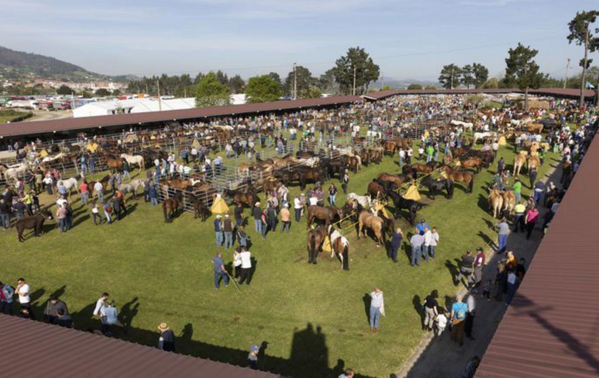 La feria de San Isidro en Llanera, una cita clave