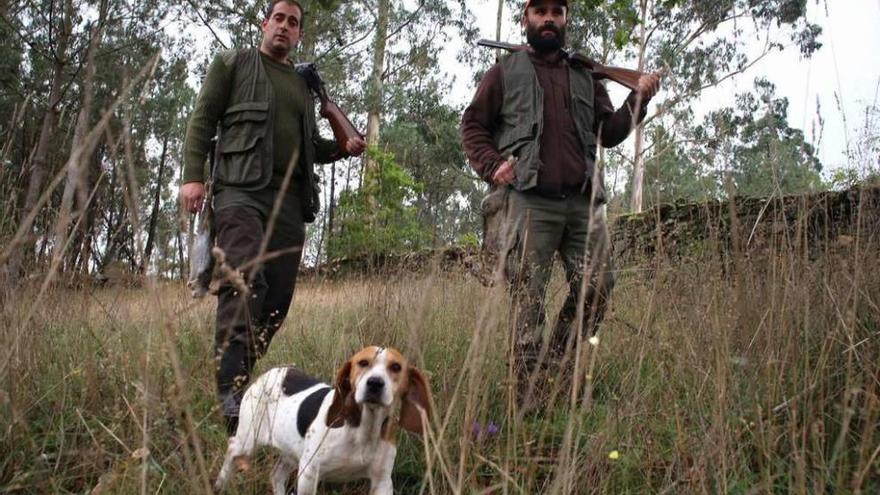 Dos cazadores rastrean el monte durante una jornada de caza, el año pasado. // Bernabé/Gutier