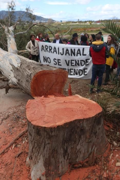 Protesta por la tala de árboles en Arraijanal