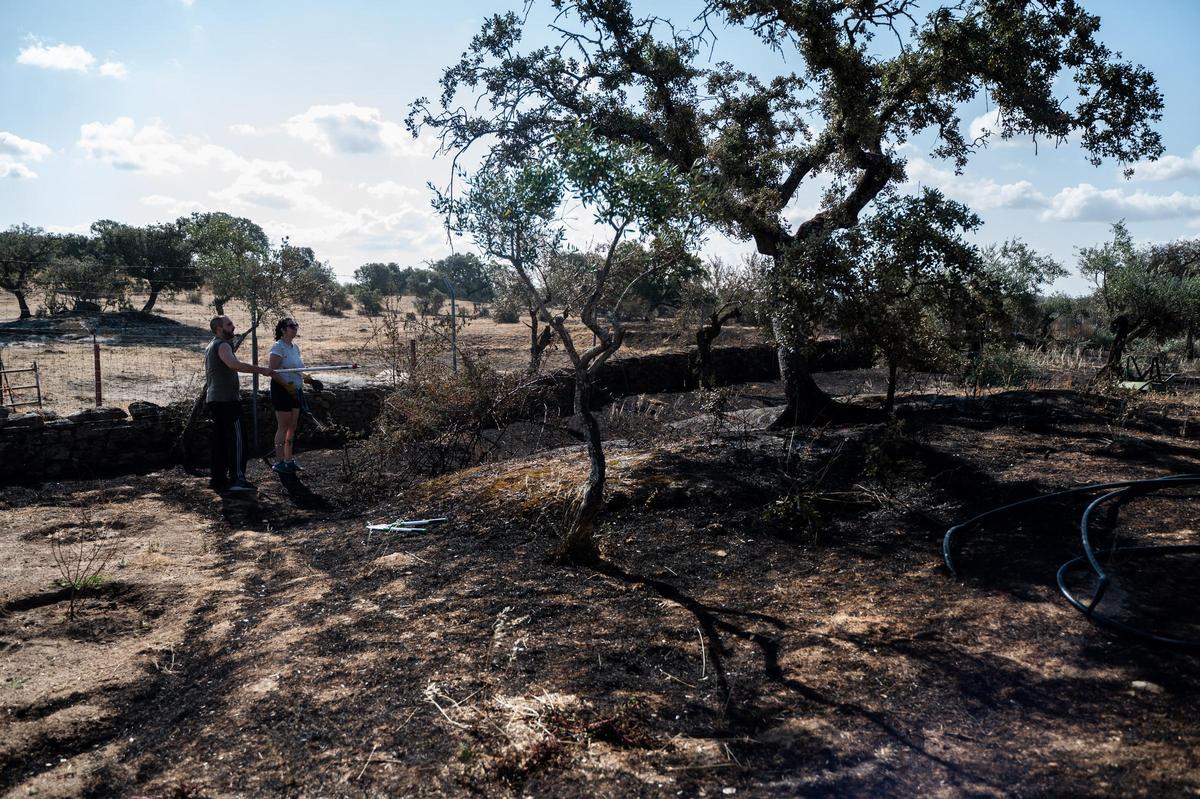 Galería | Las Viñas de Arroyo de la Luz, el día después del incendio