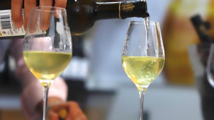 El vídeo viral sobre cómo pedir una copa de vino en Córdoba.