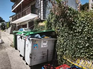 Los vecinos de San Martín de Castañeda, hartos: basura desbordada, malos olores y servicios “insuficientes” en pleno agosto