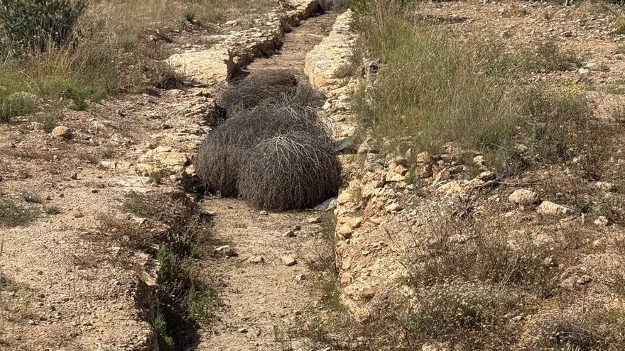 Patrimonio asegura que la protección de los restos de la Torreta del Pirata en Godella está garantizada
