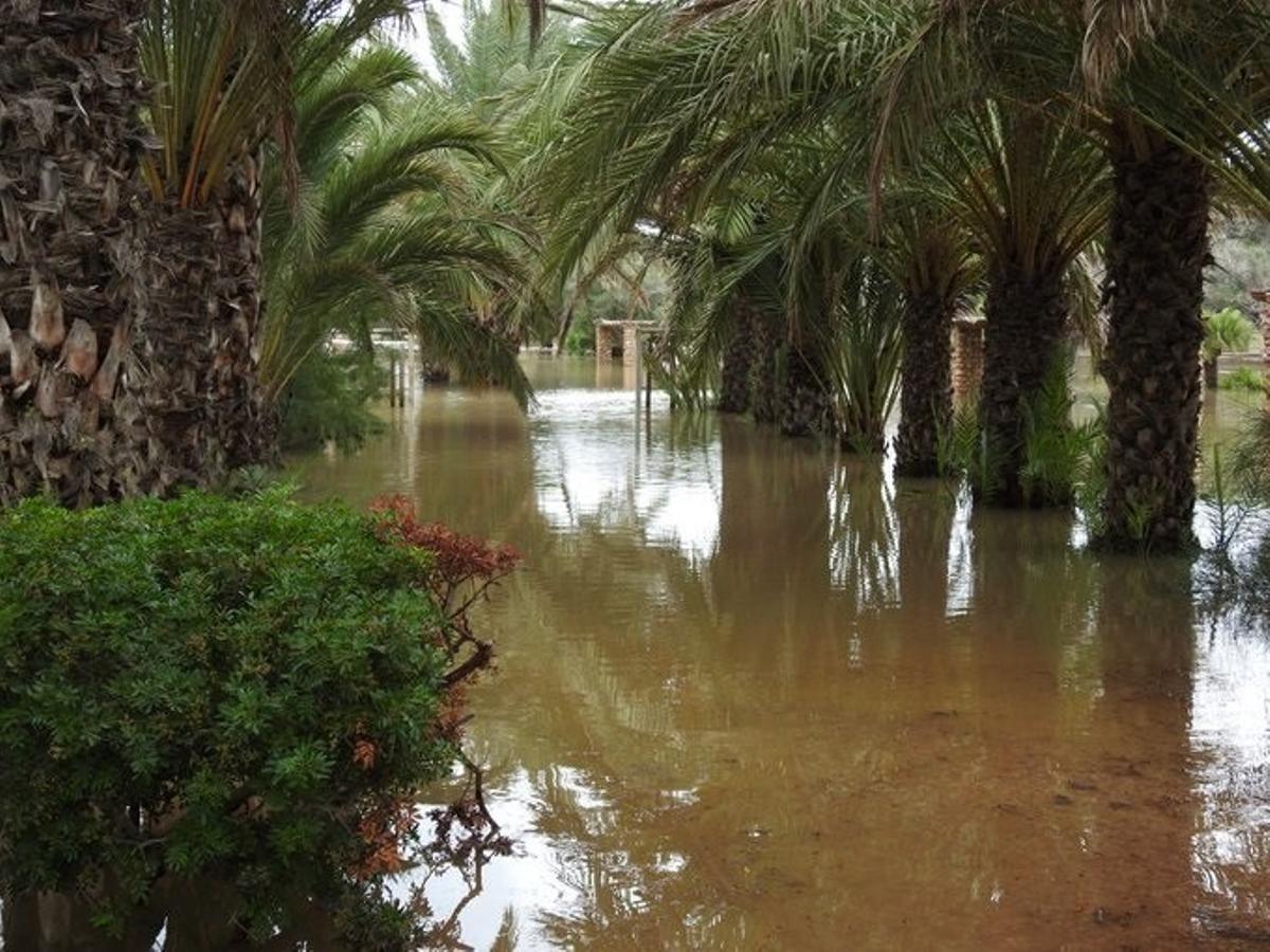 Las inundaciones ofrecen imágenes insólitas en Elche