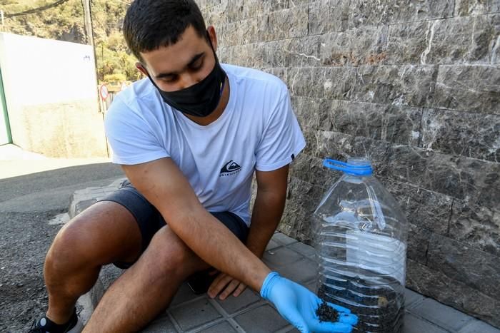 Invasión de moscas en el Barrio de La Cazada