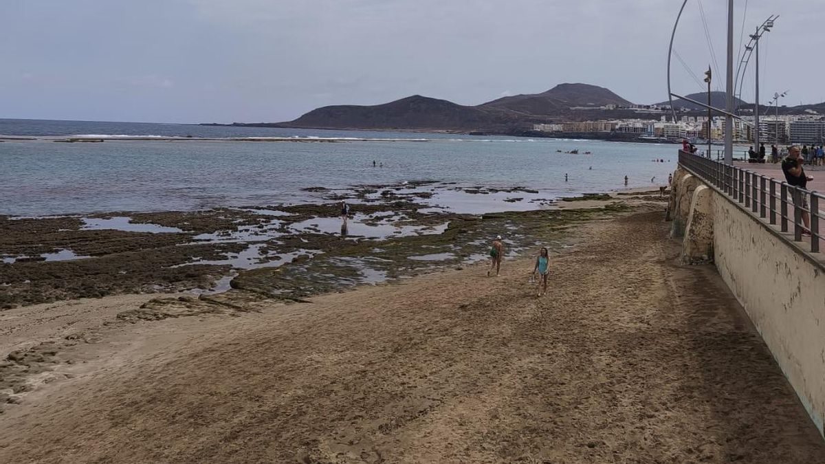Tiempo en Las Canteras este miércoles