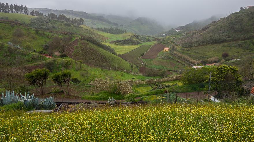 La previa de la borrasca: Nubes y posibles lluvias débiles este viernes en Canarias