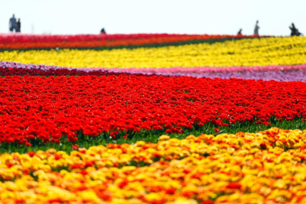 Los colores de la naturaleza