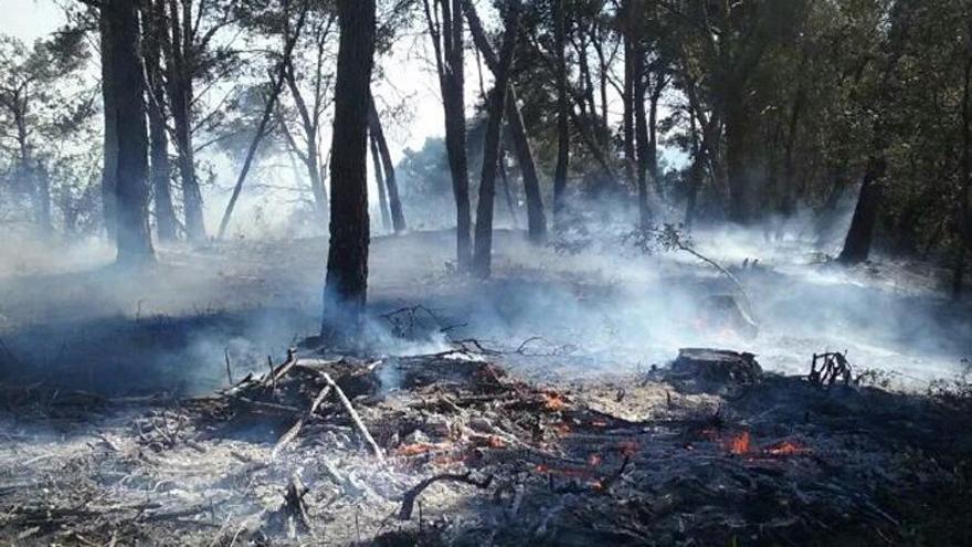 Extingit l&#039;incendi de Castell d&#039;Empordà