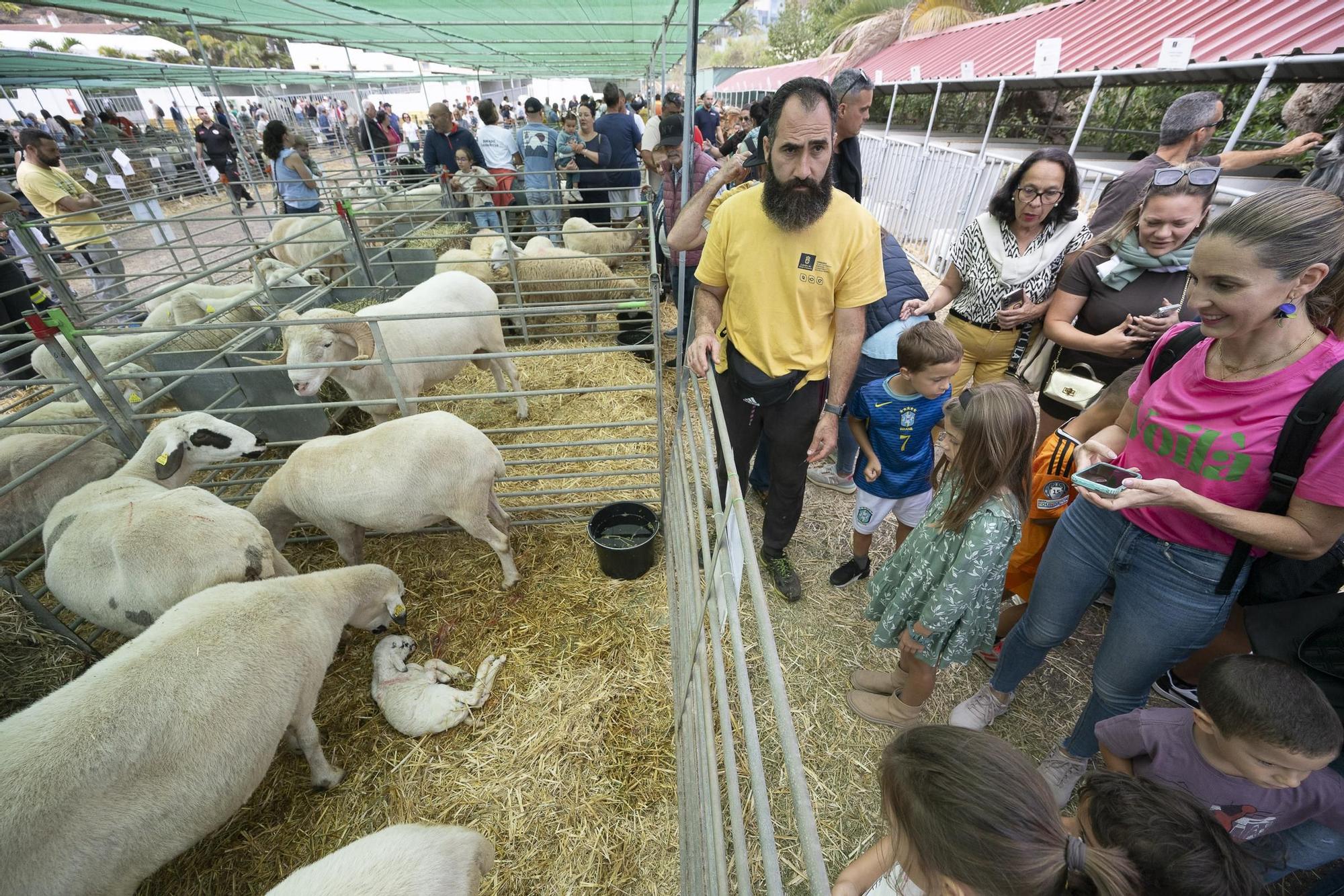 XXXII Edición del Concurso y Exposición de Ganado Selecto