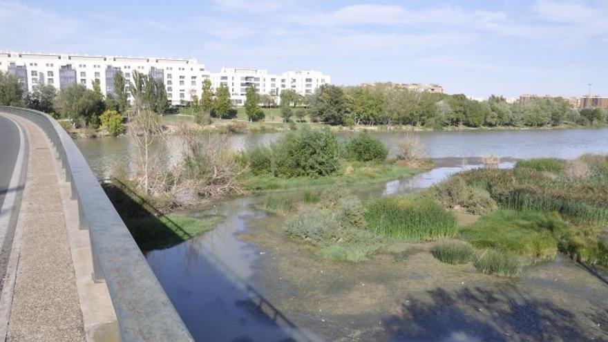 Los sedimentos del Ebro están contaminados por medicamentos