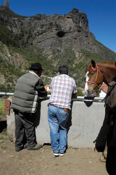 XX Feria Equina de La Culata de Tejeda