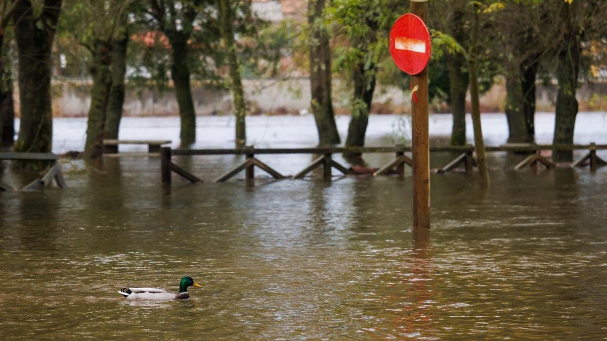 Crecida del río Águeda a su paso por Ciudad Rodrigo
