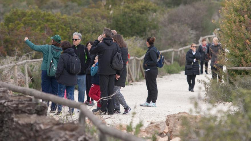 Elche potenciará los búnkers de la Guerra Civil que hay en el Clot de Galvany