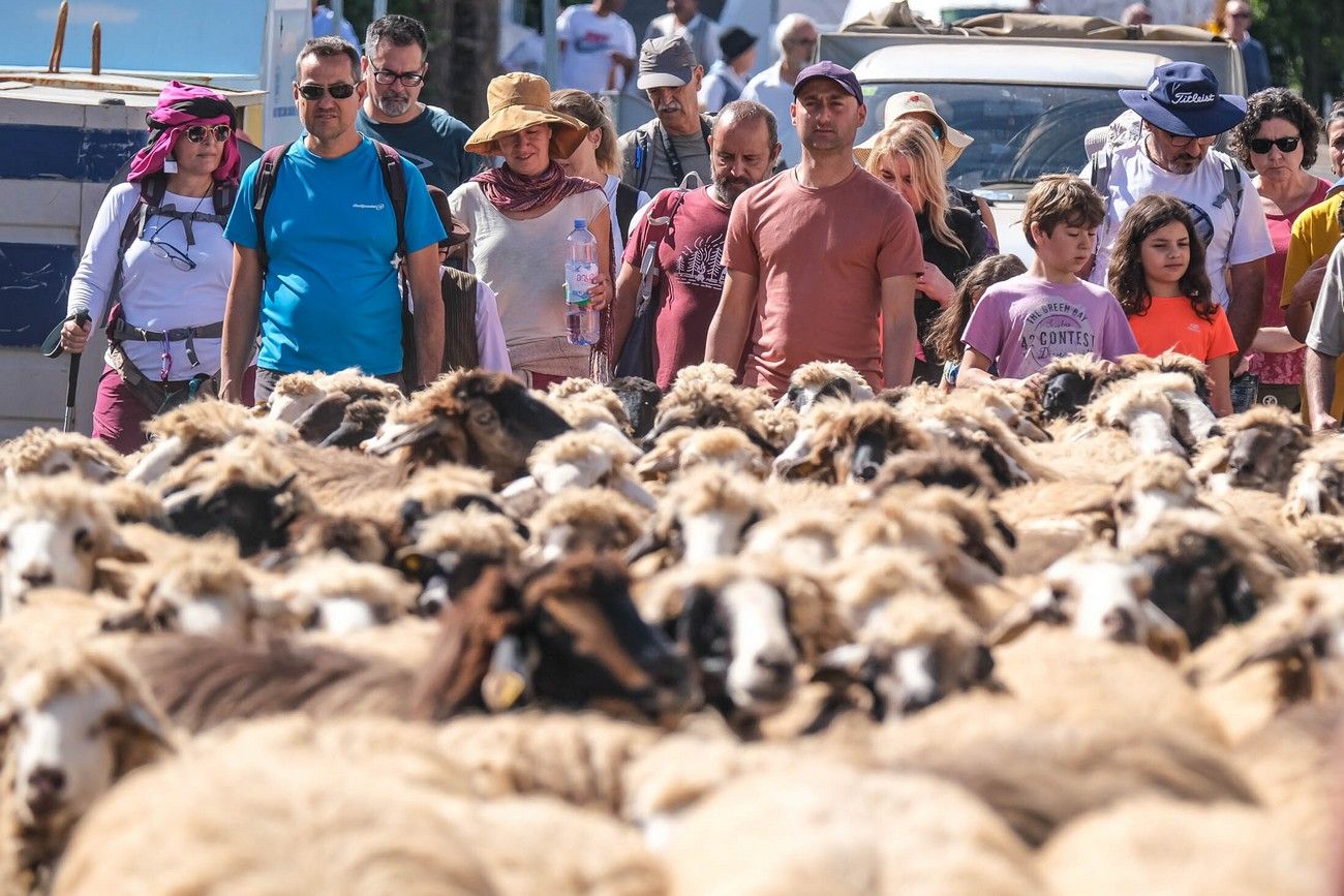 Miles de personas eligen Caideros y la Fiesta de la Lana para celebrar el Día de Canarias