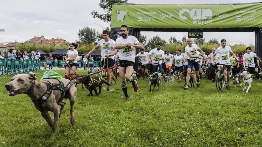 Perros y dueños pueden disfrutar de la I edición de la Can We Run