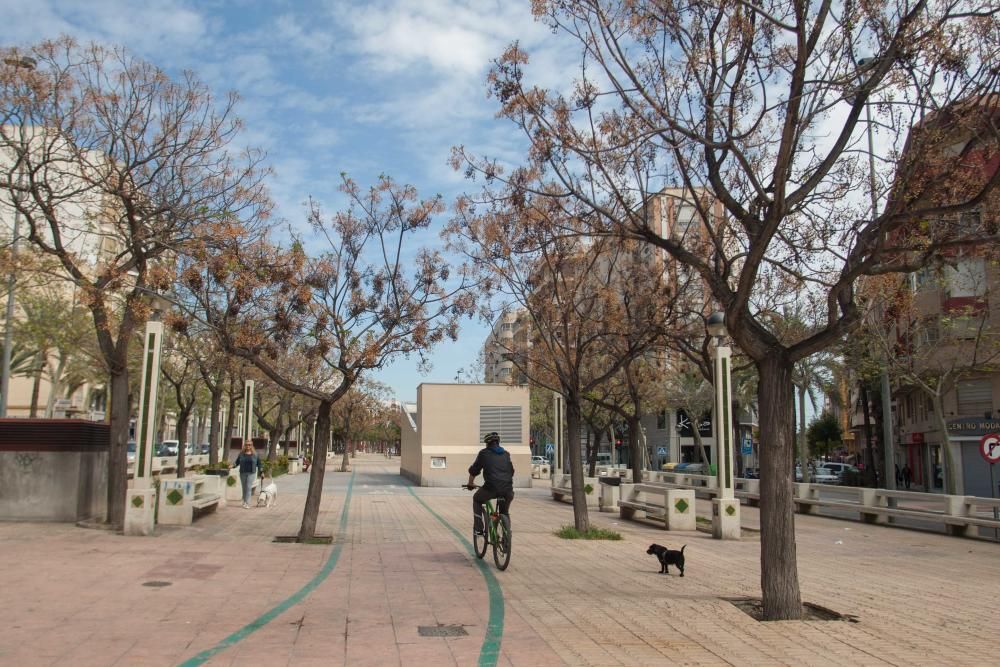 Vecinos de la avenida de la Libertad critican la falta de inversión en el mobiliario.