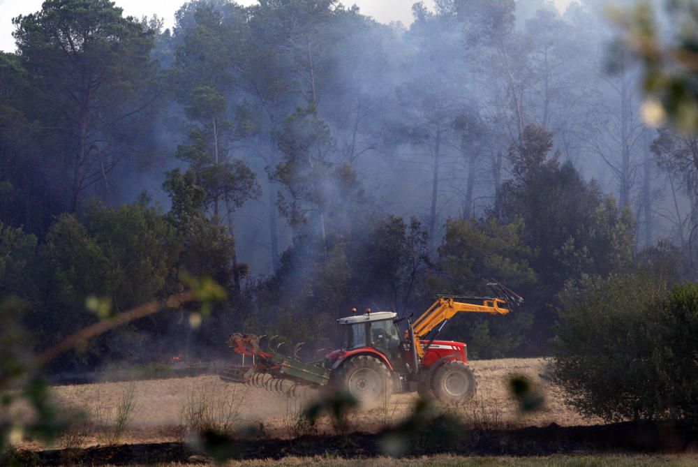 Incendi a Vilopriu