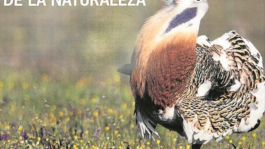Las aves y las orquídeas protagonizan una nueva edición del Festival de la Naturaleza