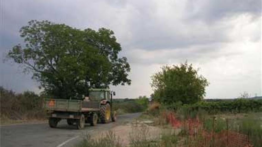 Los agricultores solicitan que se limpie la vía La Moheda-Huélaga