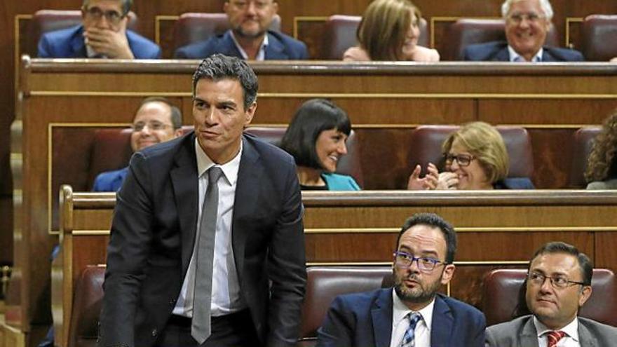 Pedro Sánchez i membres del PSOE al debat d&#039;investidura