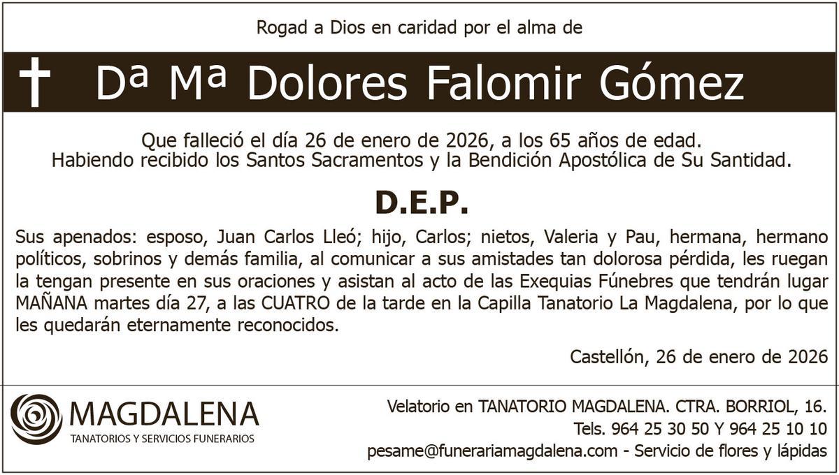 Dª Mª Dolores Falomir Gómez