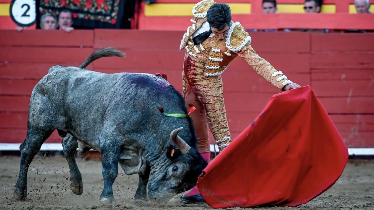 Las series al natural de Álvaro Lorenzo en Requena tuvieron enorme clase, torería y hondura.