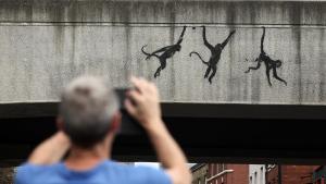 Banksy publica su cuarta creación animal en Londres y la roban a los pocos minutos