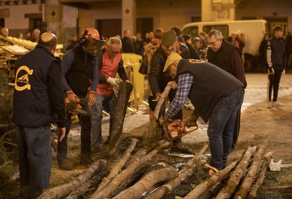 Sant Antoni arranca en Sagunt con la tradicional Plantà del Pi