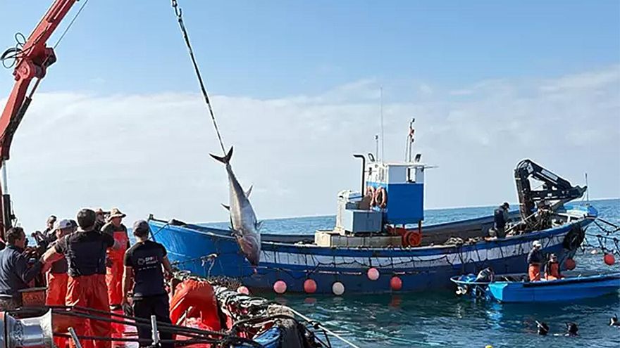 Andalucía lidera una rebelión autonómica contra el recorte de fondos europeos a la pesca