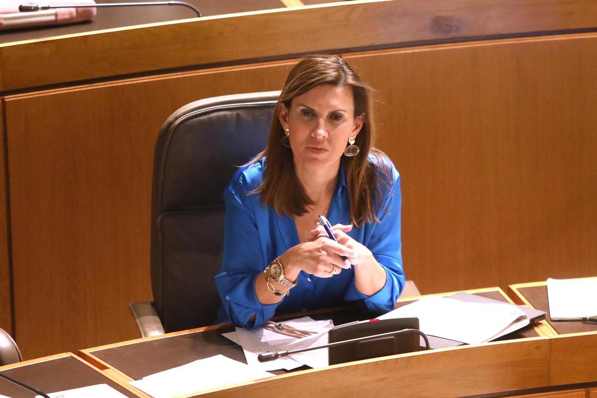 Jara Bernués, durante el pleno de las Cortes de Aragón de este viernes.