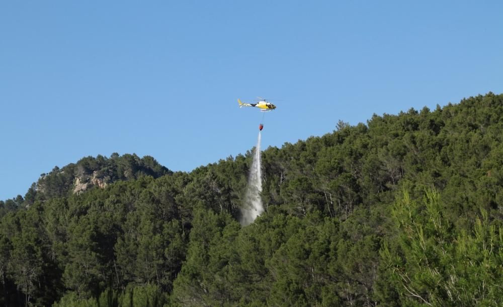 Waldbrand bei Puigpunyent