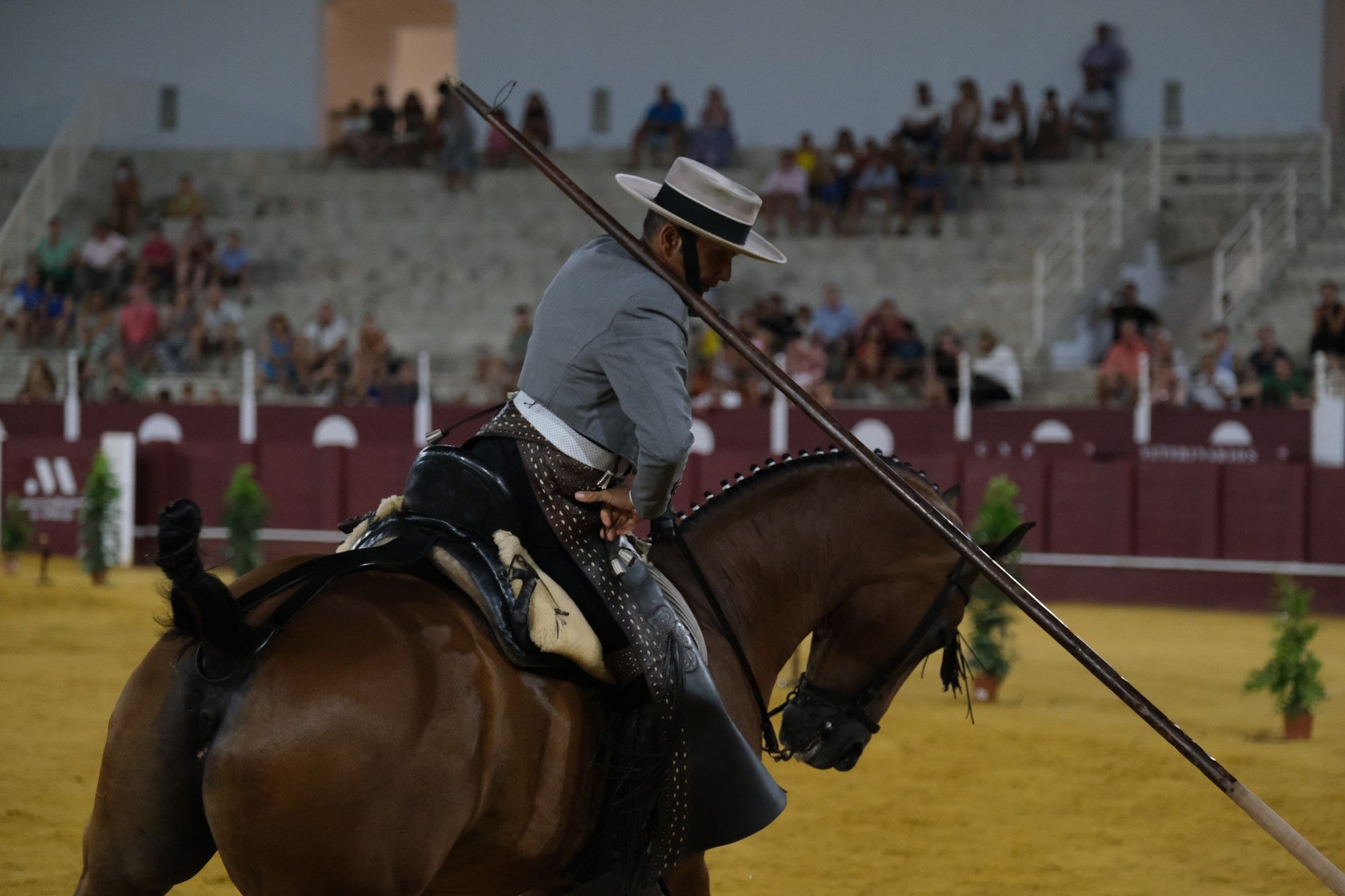 Los caballos andaluces bailan sobre el albero de La Malagueta