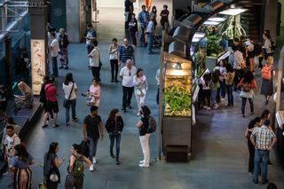 Nit dels Museus 2023 en Barcelona: día, horario y museos abiertos