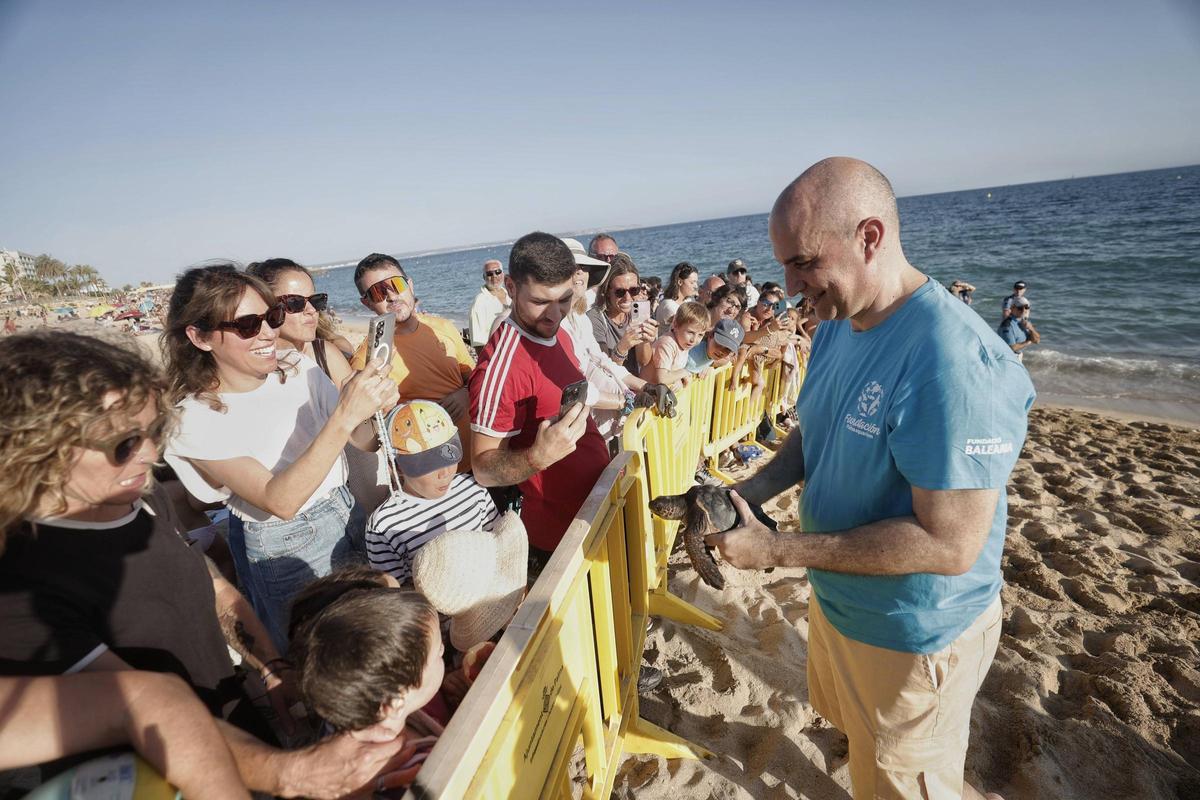 Imágenes de la liberación de 39 tortugas en Can Pere Antoni