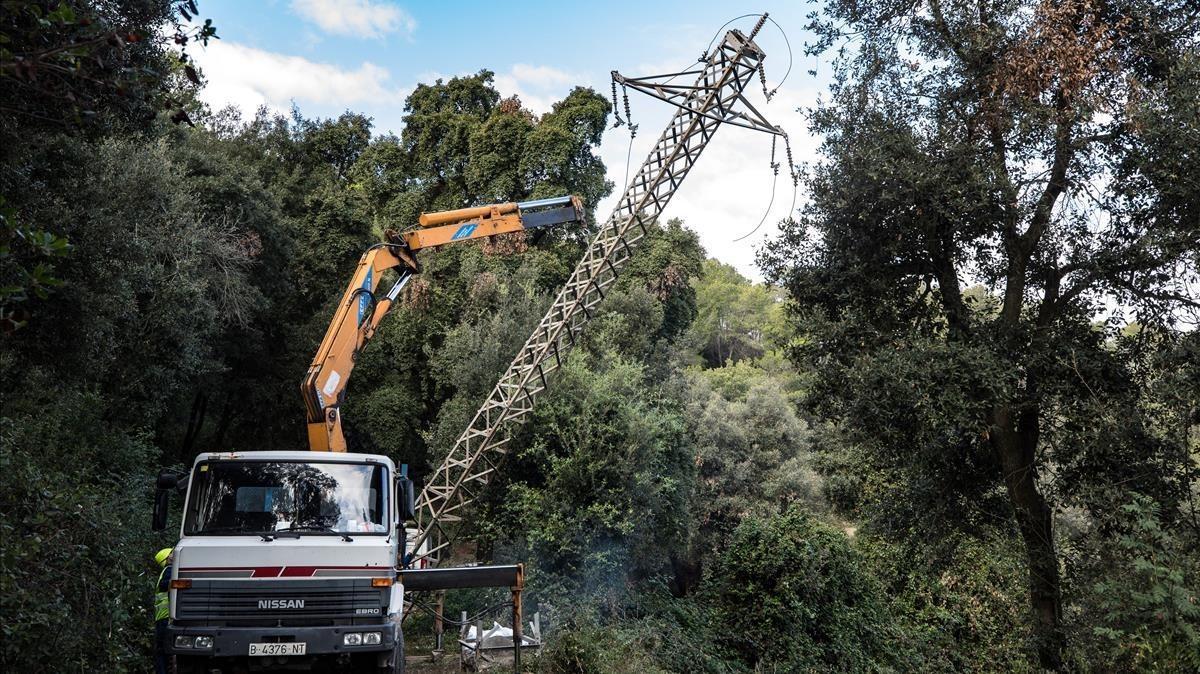 zentauroepp40756845 barcelona  collserola  zona carretera d horta  retirada de l171031134437