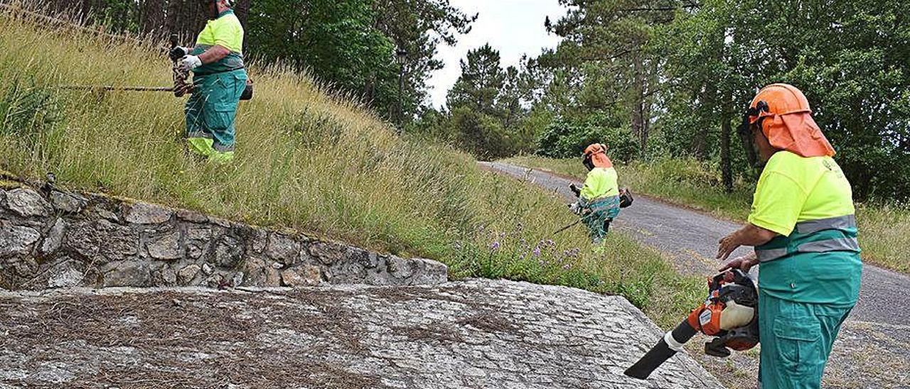 Alumnos del Obradoiro adecentando el mirador de Beiro.