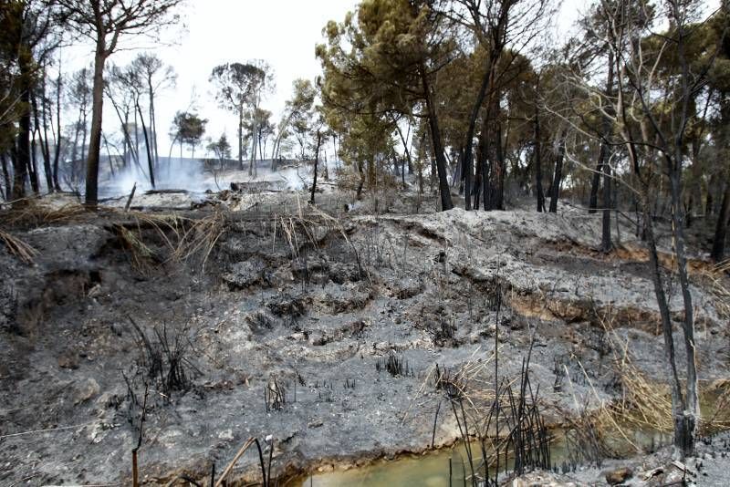 Imágenes del incendio en Alcañiz