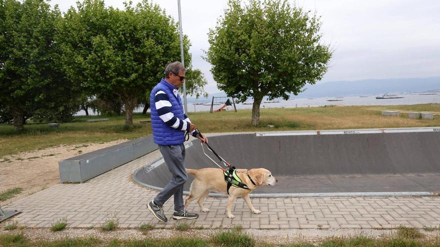 El perro fiel que marca cada paso del camino del vilanovés José