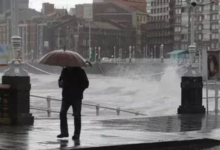 Árboles caídos y cortes de tráfico en una jornada con récord de lluvia en El Musel