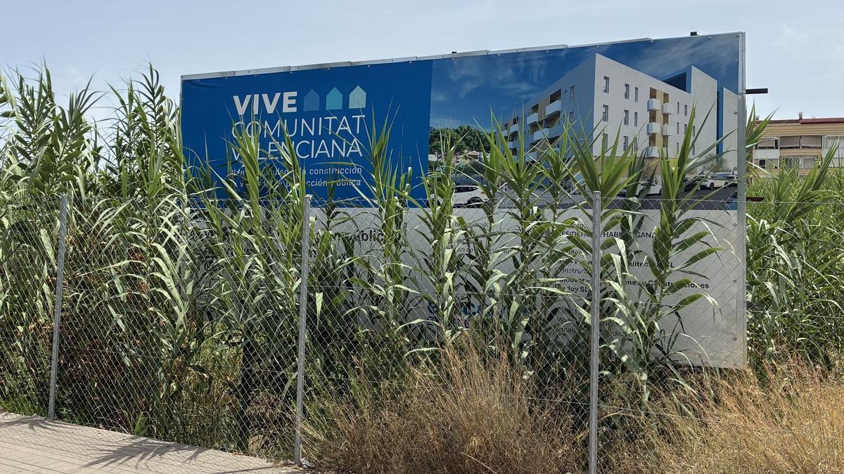 Un solar con una valla que anuncia las viviendas tapada por las cañas y las hierbas